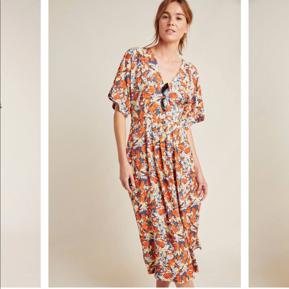 ANTHROPOLOGIE Porridge Les Papillons Dress